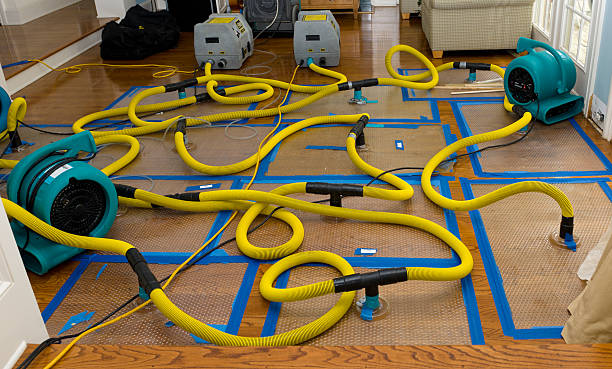 Professional Crawl Space Water Removal technician working in Columbia, NJ